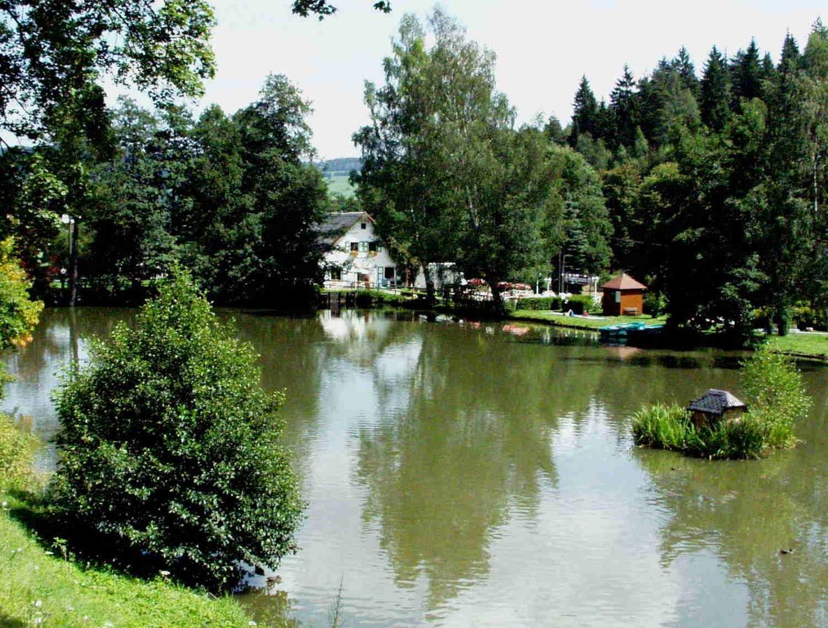 Hotel Gasthof Zum Walfisch Klingenthal Luaran gambar