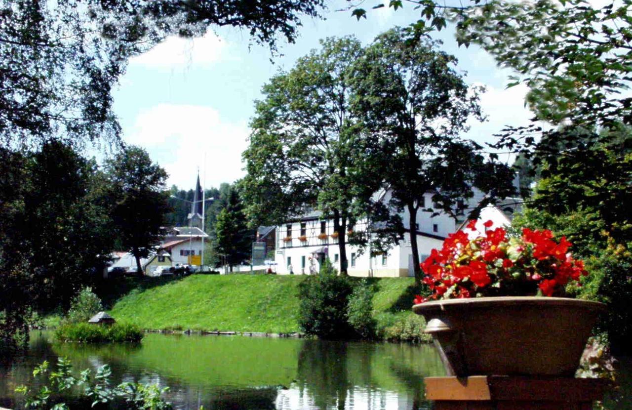 Hotel Gasthof Zum Walfisch Klingenthal Luaran gambar